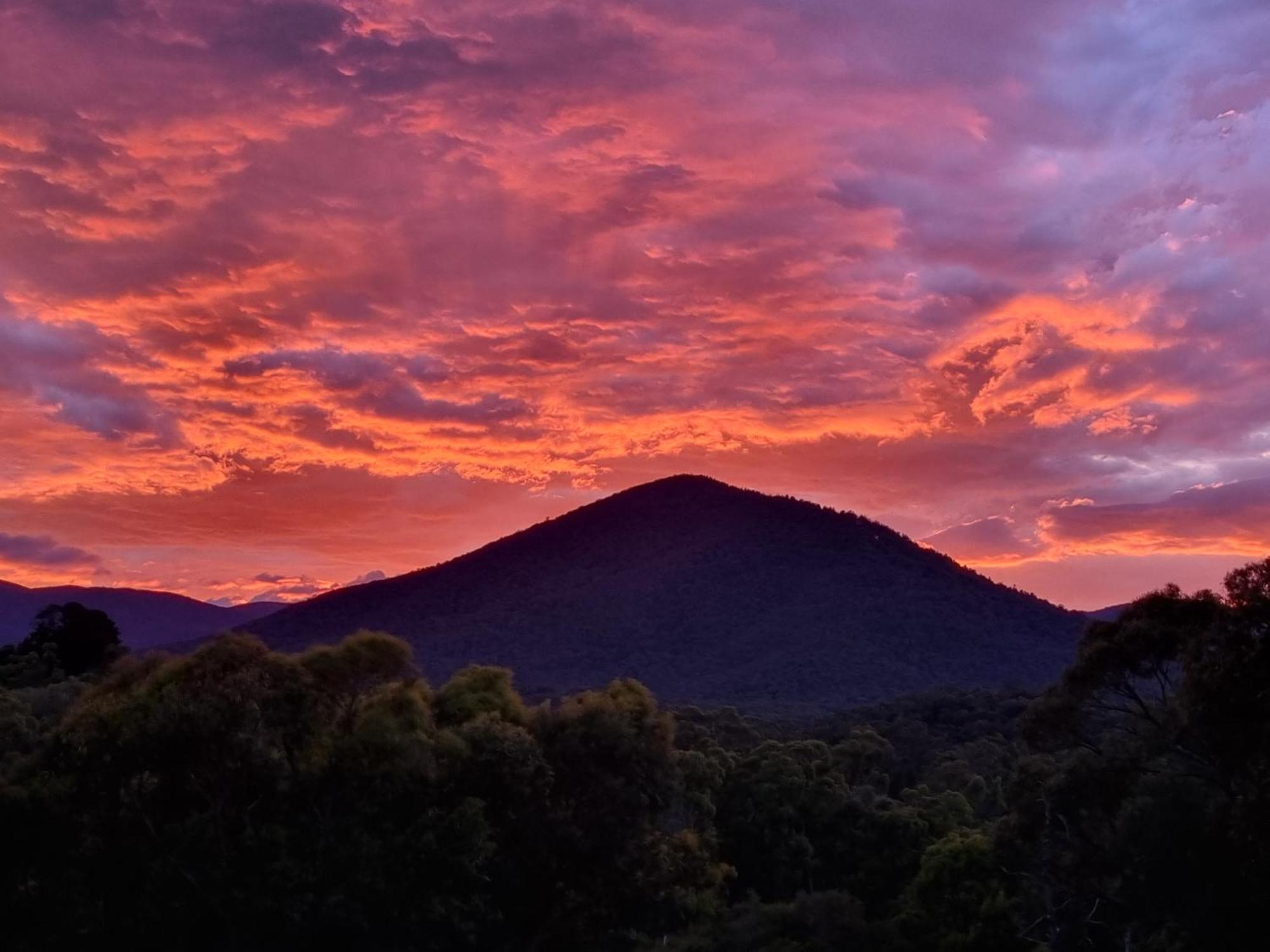 Rosebank Guesthouse Healesville Kültér fotó