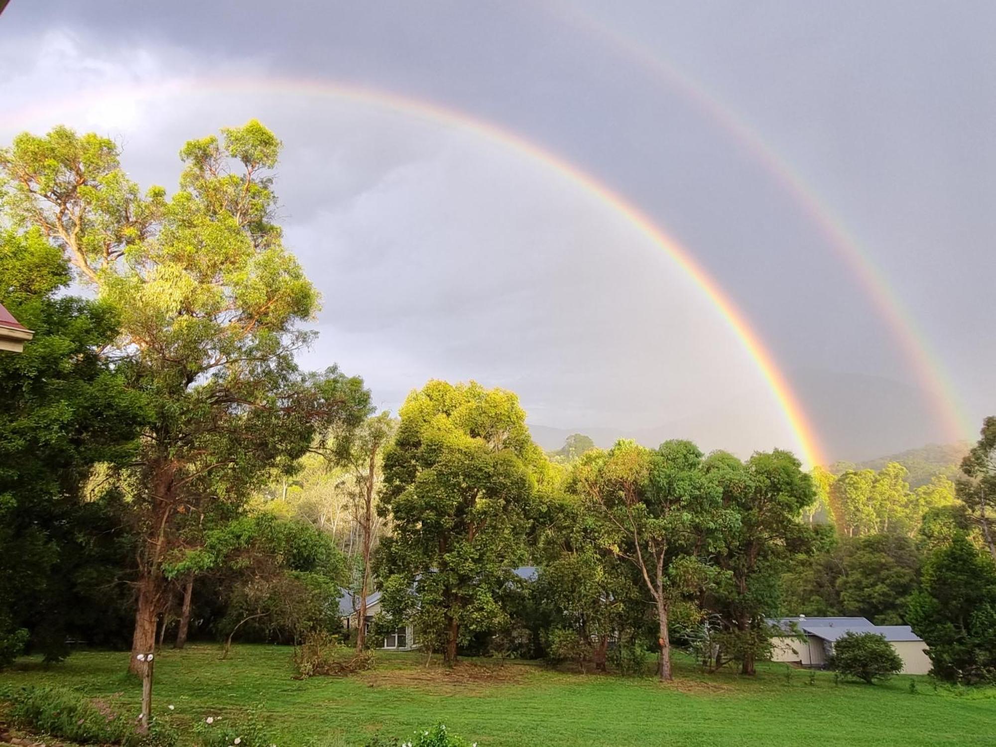 Rosebank Guesthouse Healesville Kültér fotó